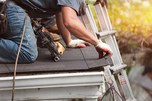 Best Roof Gutter Cleaning  in Saticoy, CA